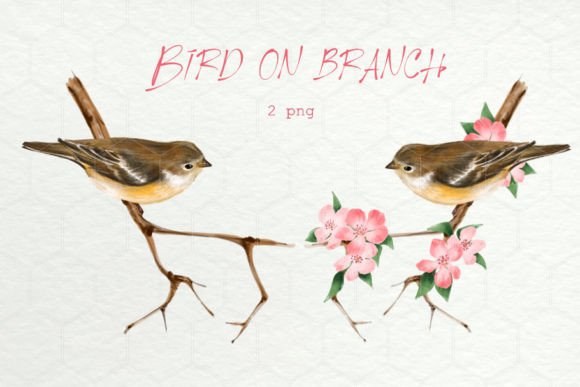 Bird on Branch PNG Illustrations: Nature's Charm for Creative Projects