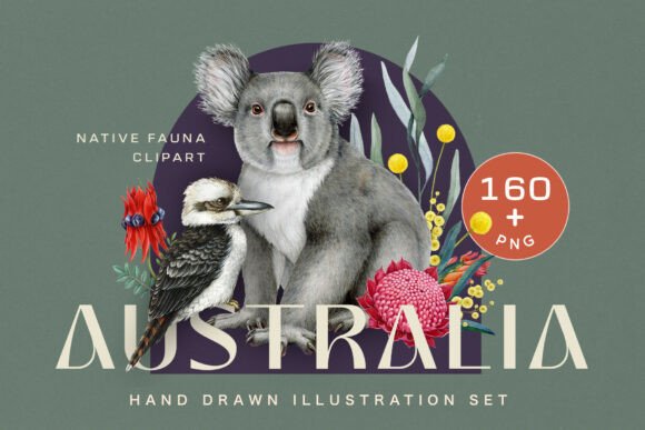 Bringing Australia to Life: A Designer's Guide to Fauna Watercolor Clipart
