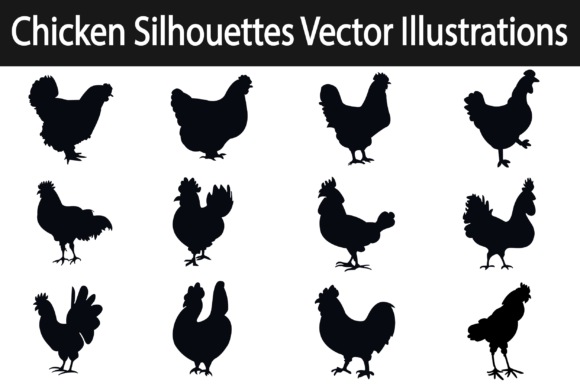 Chicken Silhouettes Vector Illustrations: A Versatile Asset