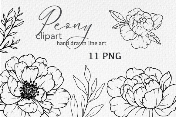 Peonies LINE DRAWING: Versatile Floral Line Art for Designers
