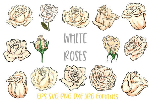 White Rose Flower Line Art: A Bundle for Modern Creators